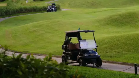Golf cart parked on a walkway in lush green fairway.